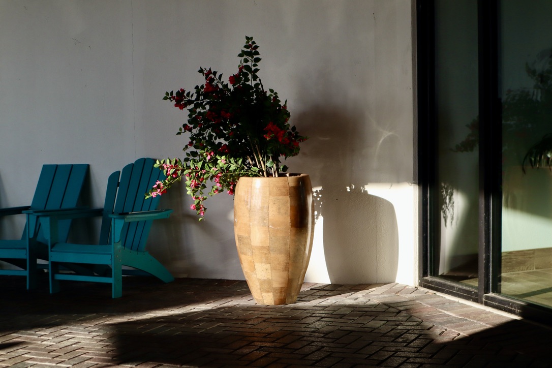 Photograph by Joseph Maya